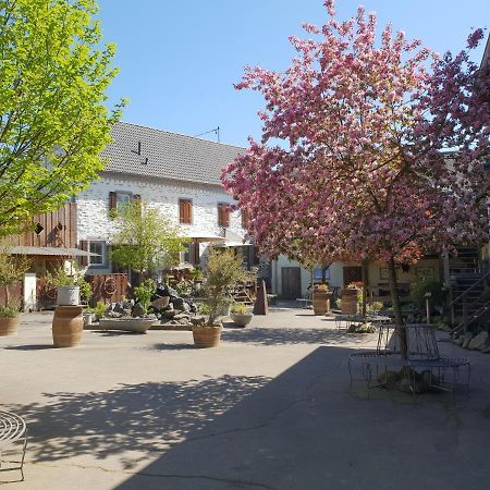 Schoene Wohnung Kleiner Onkel Auf Idyllischem Reiterhof Nahe Burg Eltz Munstermaifeld Luaran gambar
