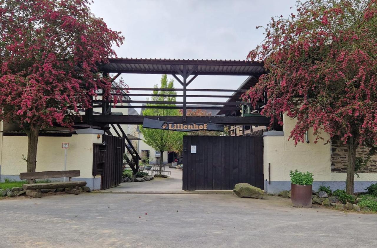 Schoene Wohnung Kleiner Onkel Auf Idyllischem Reiterhof Nahe Burg Eltz Munstermaifeld Luaran gambar